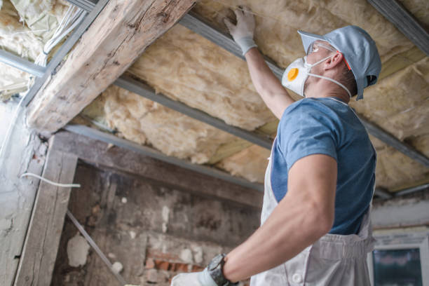 Best Eco-Friendly Insulation in Fairbank, IA