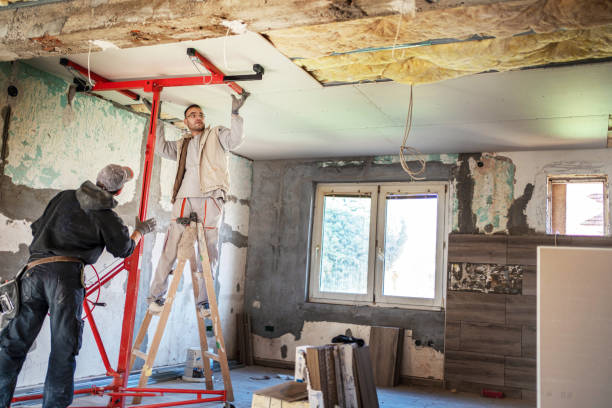 Best Specialized Insulation Services in Fairbank, IA